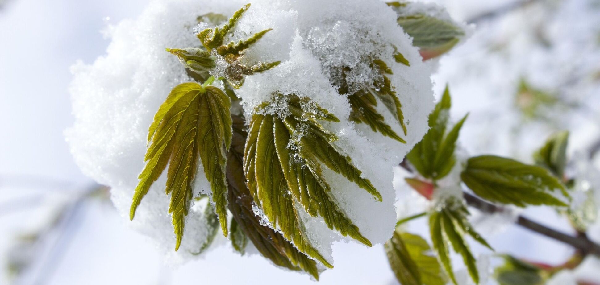 Уровень опасности оранжевый: синоптики и спасатели предупредили об ухудшении погодных условий в Украине