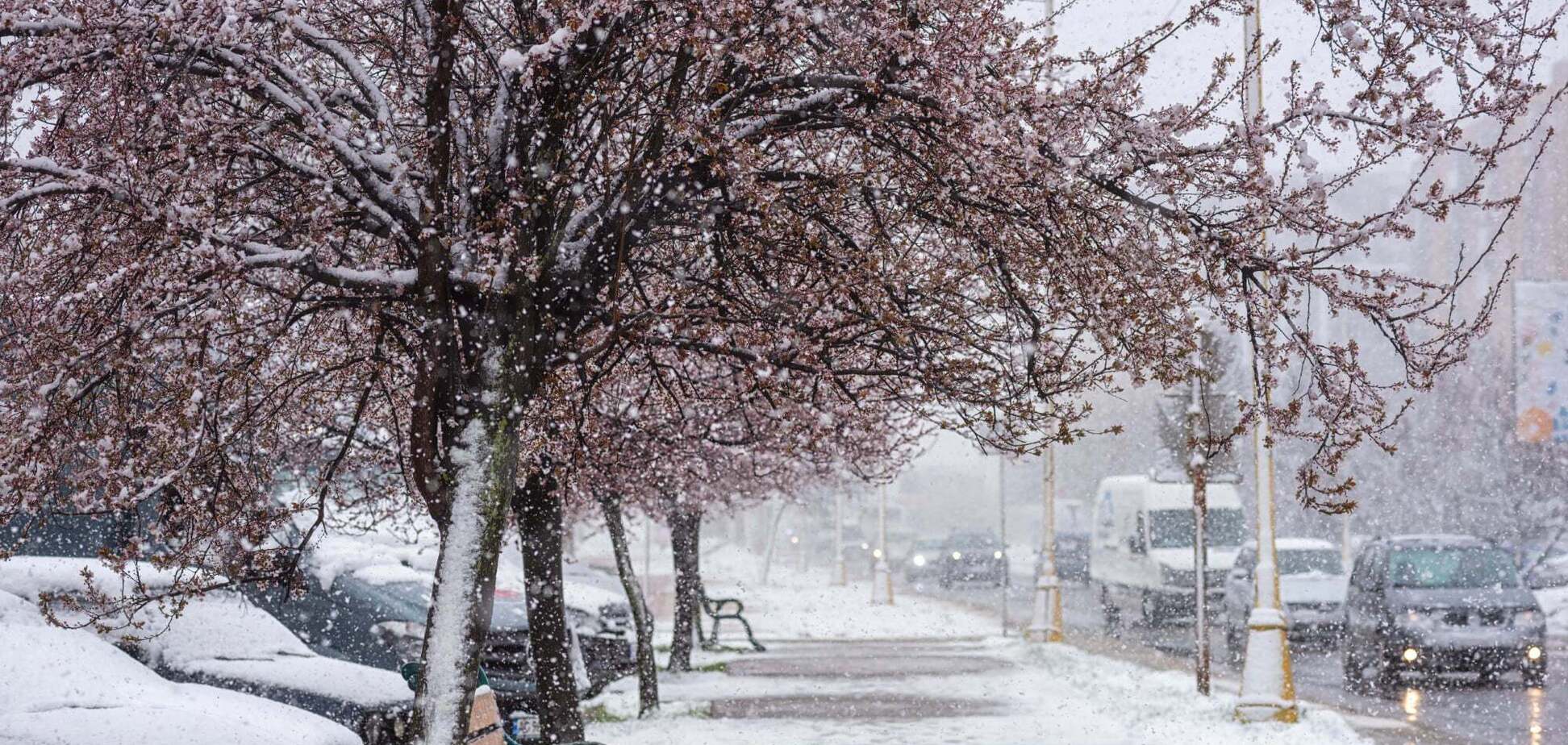 Будут ли морозы до 10 градусов в апреле: синоптик дала ответ и предупредила о 'сюрпризах'