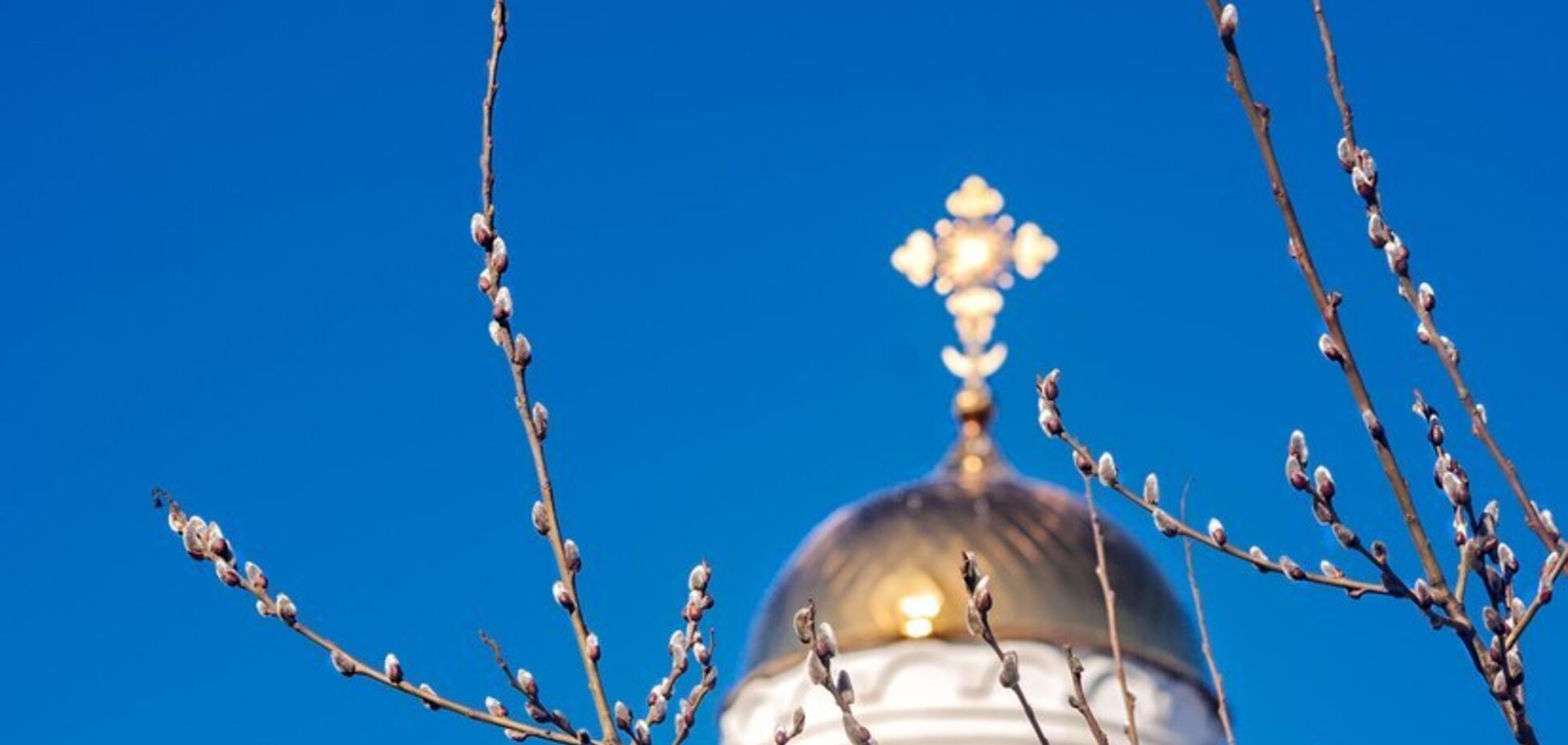 Что несут в церковь на Вербное воскресенье: традиции праздника