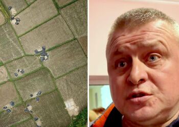 В Олега Ткаченка з Великої Димерки можуть конфіскувати майно