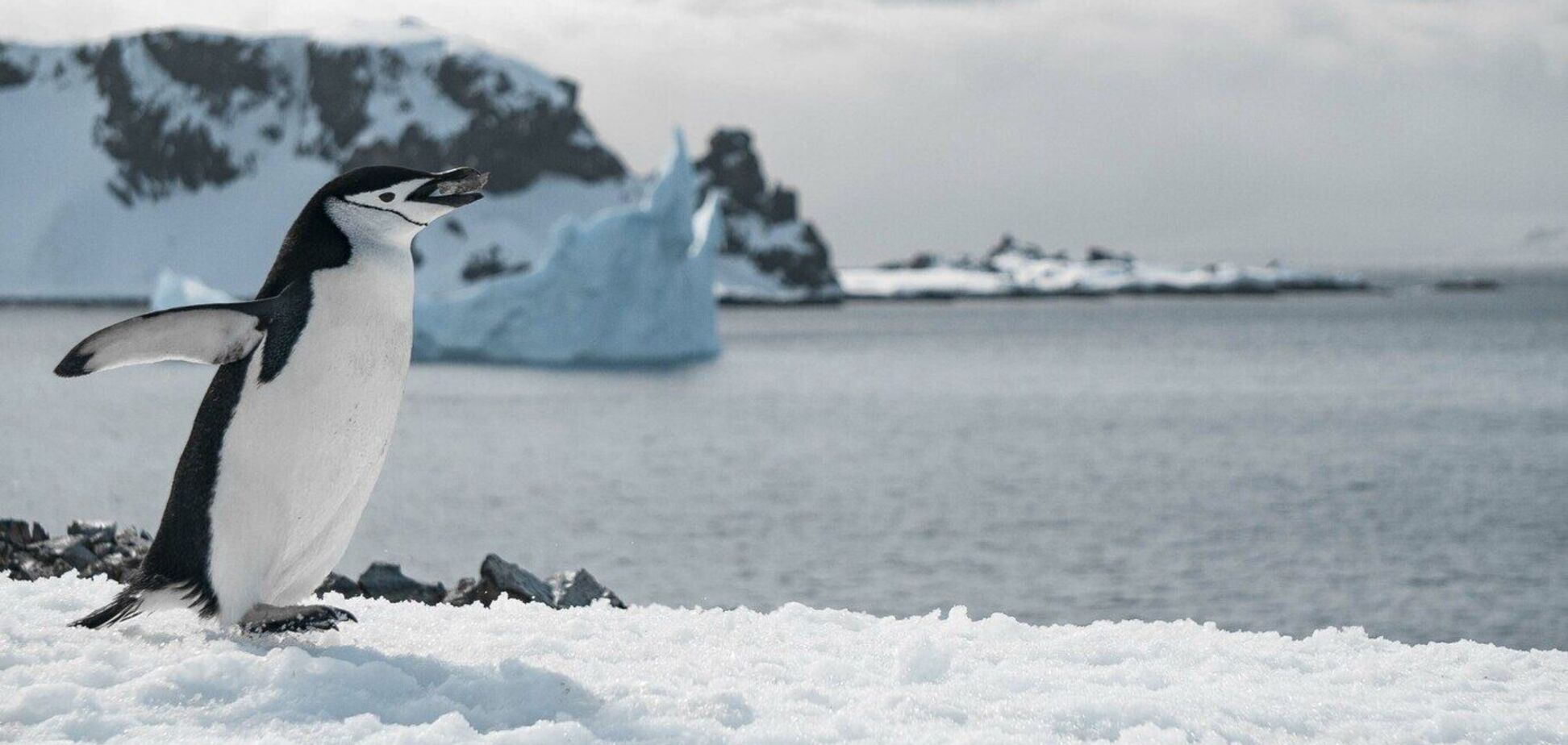 США ввели пошлины против безлюдных островов