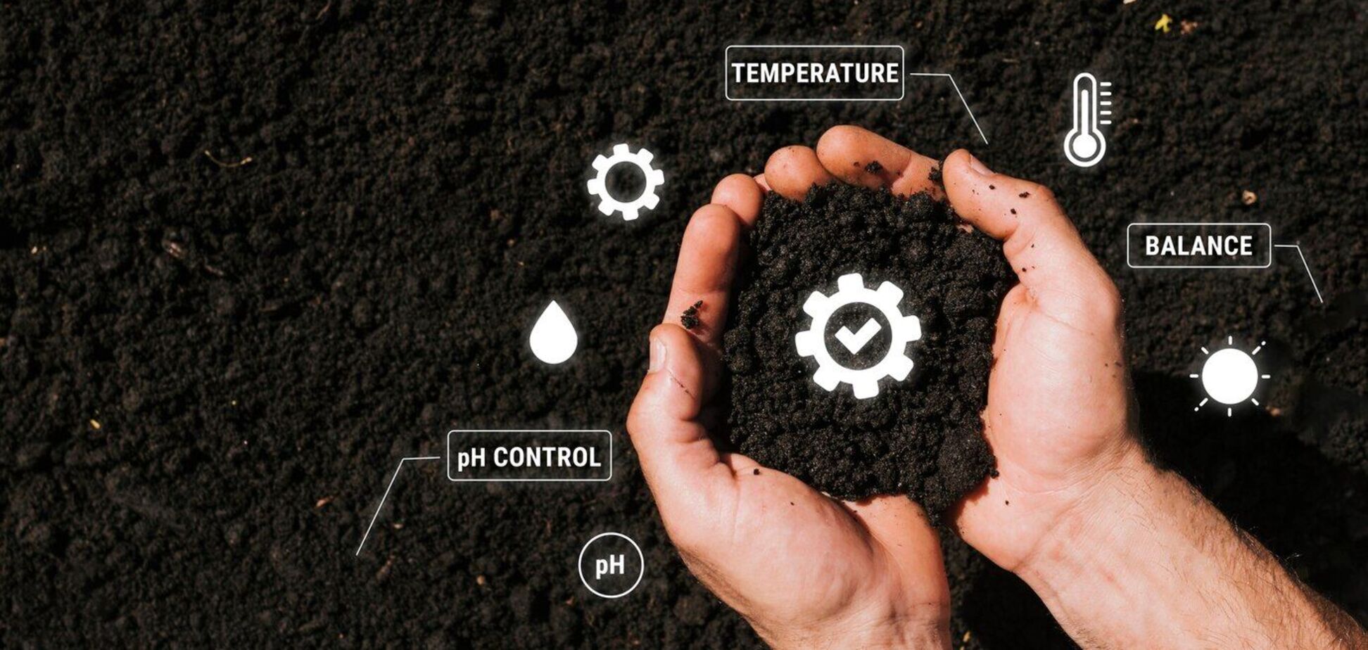 Как изменить кислотность почвы в саду с помощью обыкновенного фрукта: советы