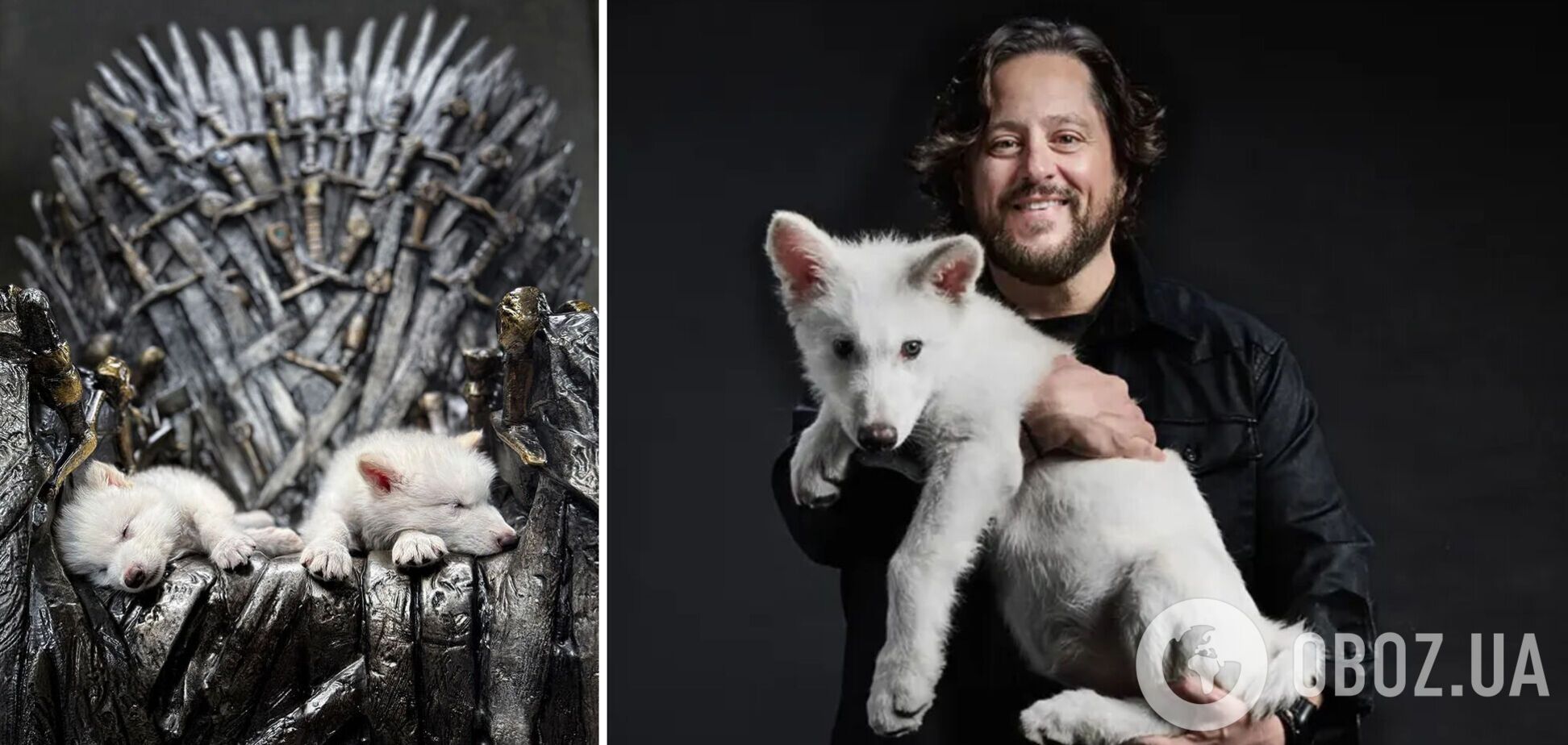 Вчені зі США воскресили легендарного лютововка з 'Гри престолів': як їм це вдалося. Відео