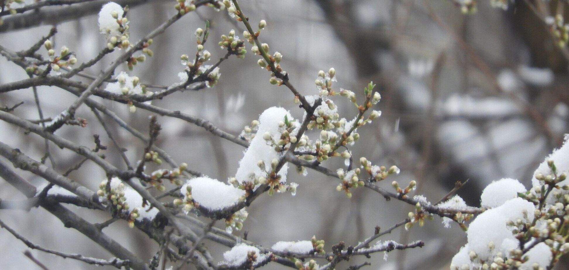Стоит ли ждать потепления: синоптики дали прогноз погоды на среду, 9 апреля