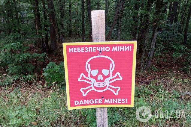 Возможны взрывы кассетных боеприпасов: киевлян предупредили об опасности после атаки БПЛА на столицу. Все подробности и фото