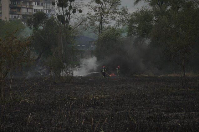У Києві сталась масштабна пожежа на території Совських ставків. Усі подробиці, фото та відео