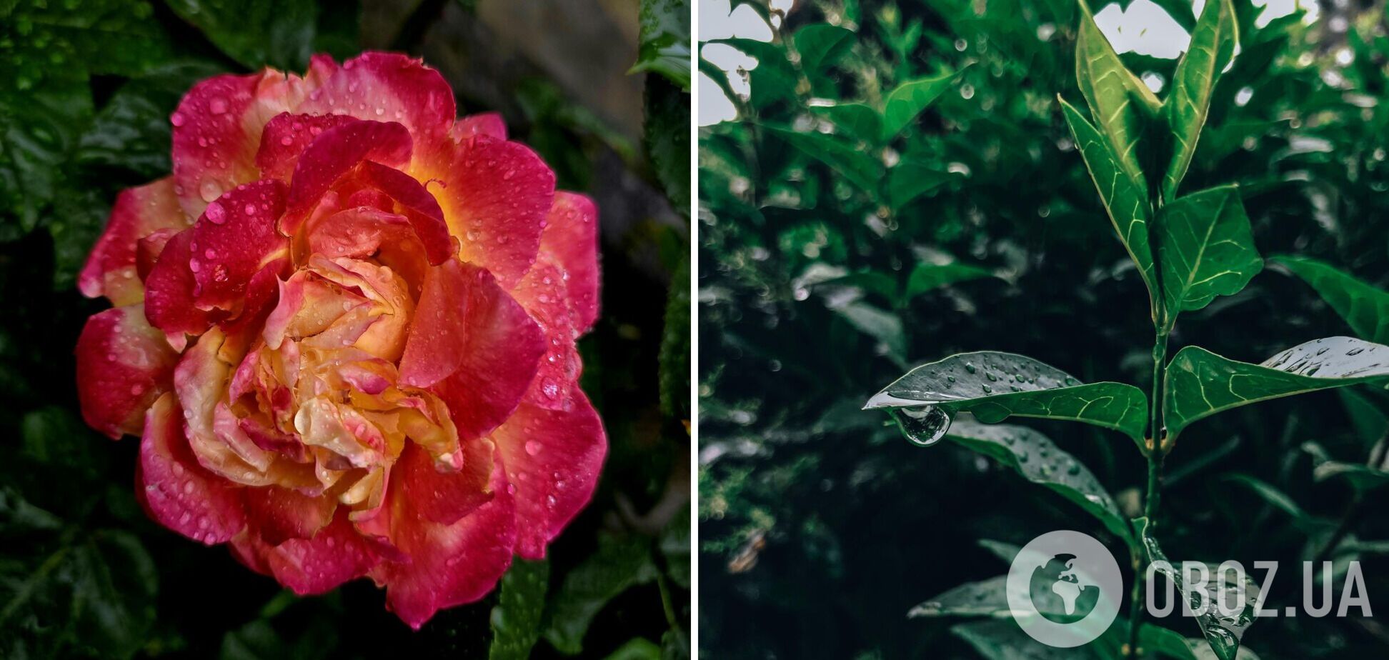 Погода в Україні 12 травня - Укргідрометцентр