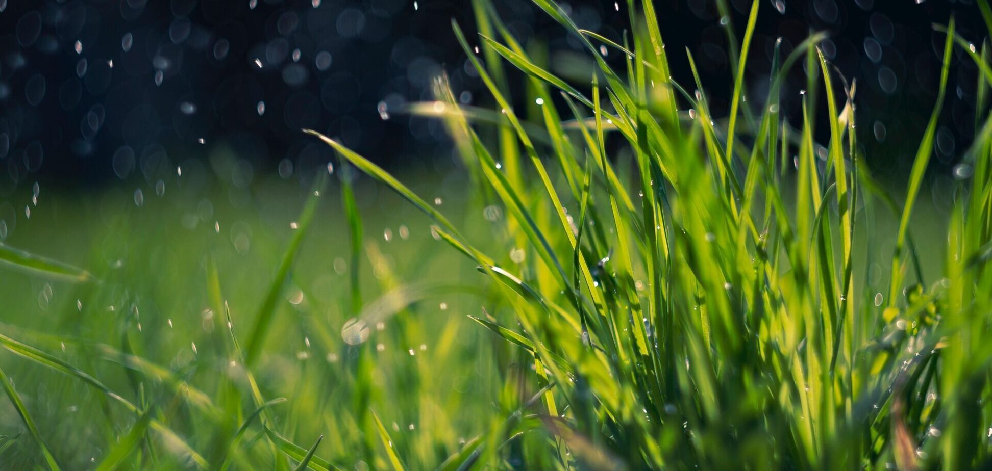 Дожди местами перейдут в мокрый снег: синоптики предупредили о нестабильной погоде в воскресенье