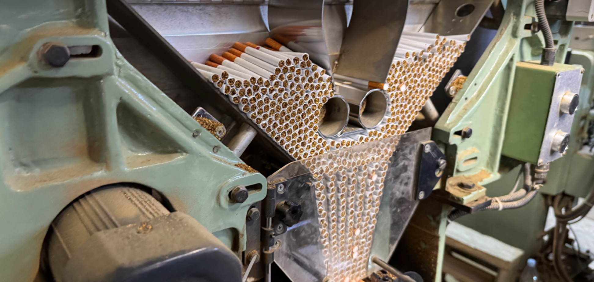 Украинцам продавали сигареты, произведенные на свиноферме