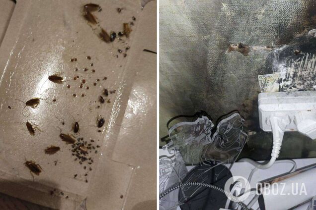 Соседи студентов ДНУ – тараканы, улитки и тьма: в Днепре молодежь жалуется на ужасные условия в общежитиях Днепровского национального университета