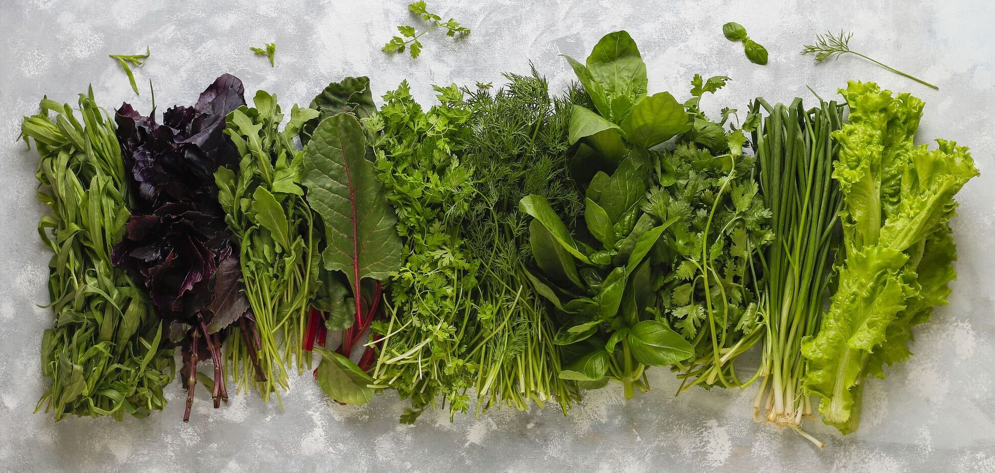 Як зберігати зелень у холодильнику, щоб вона була свіжою більше двох тижнів: один нюанс