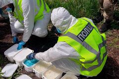 Провели более 200 обысков в 15 регионах: в Украине ликвидировали одну из крупнейших нарколабораторий. Фото и видео