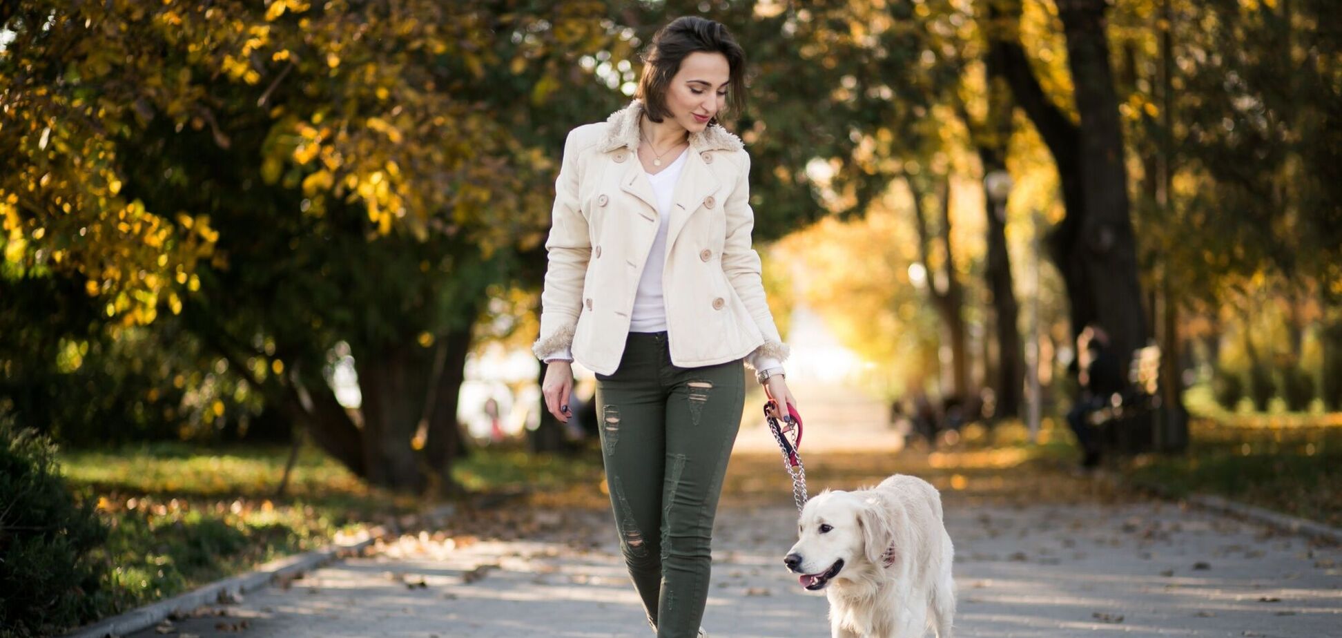 Собаки більше мотивують займатися спортом, ніж рідні – опитування