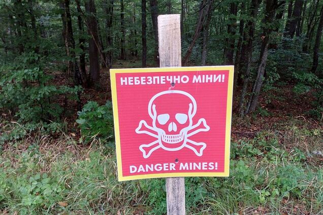 На Київщині працівники лісогосподарства знайшли міну до САУ 'Нона'. Подробиці та фото
