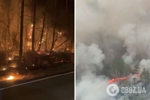 Огонь подошел к жилым домам: в России вспыхнул мощный лесной пожар, очевидцы говорят об 'апокалипсисе'. Фото и видео