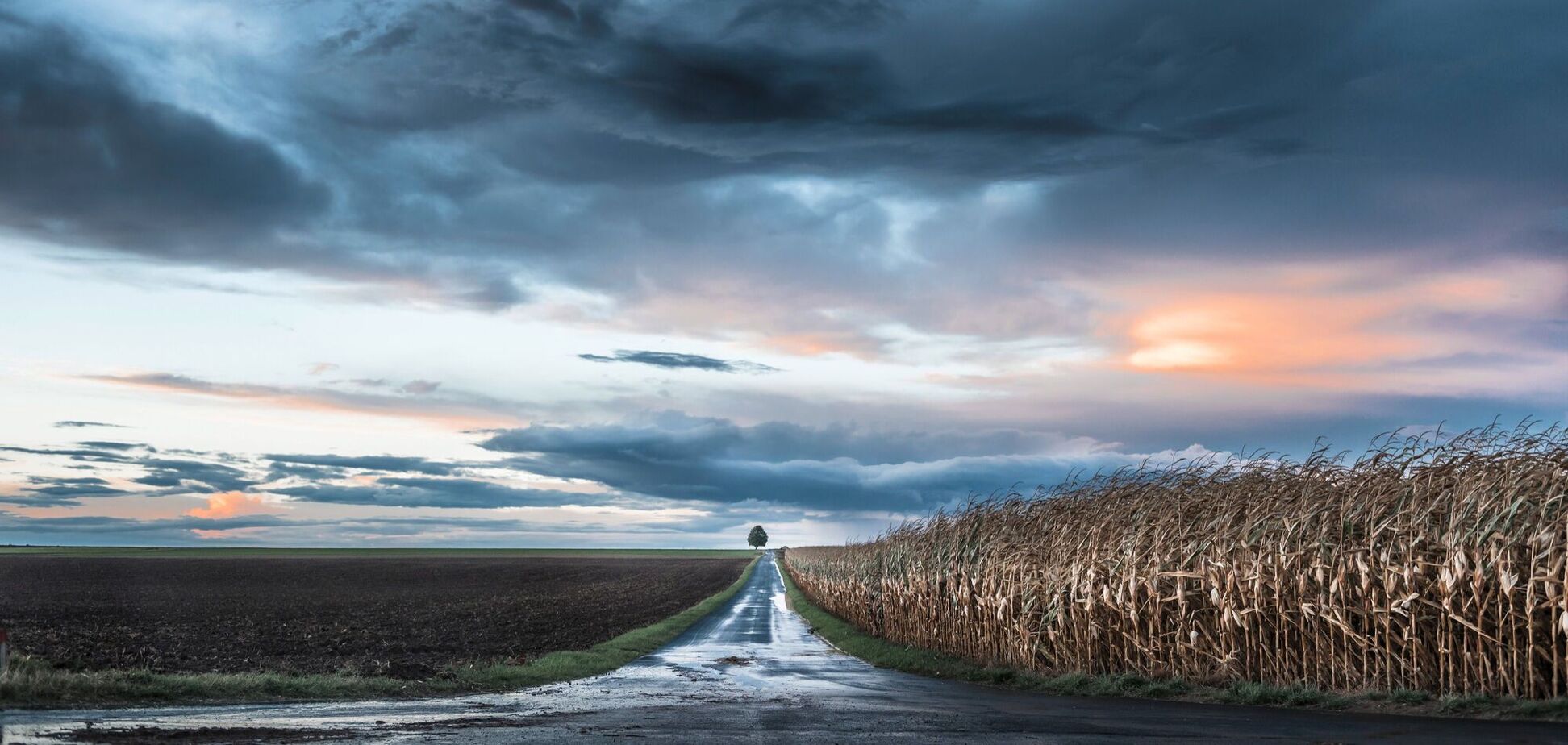 Какой праздник отмечают 20 мая: церковный календарь