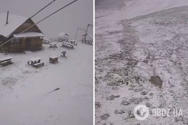 Часть Львовщины засыпало снегом в середине мая. Фото и видео