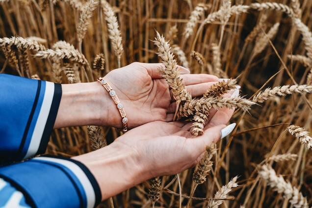 Коли в Україні святкують День фермера: дата у 2025 році