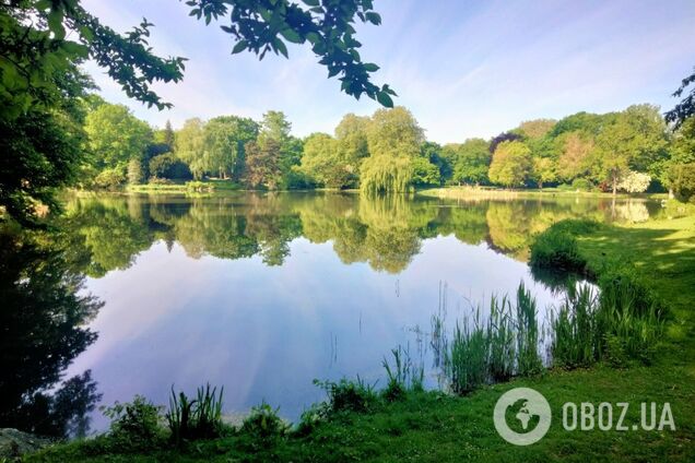 В Украину идет лето: синоптики назвали дату потепления и рассказали, повлияют ли заморозки на урожай