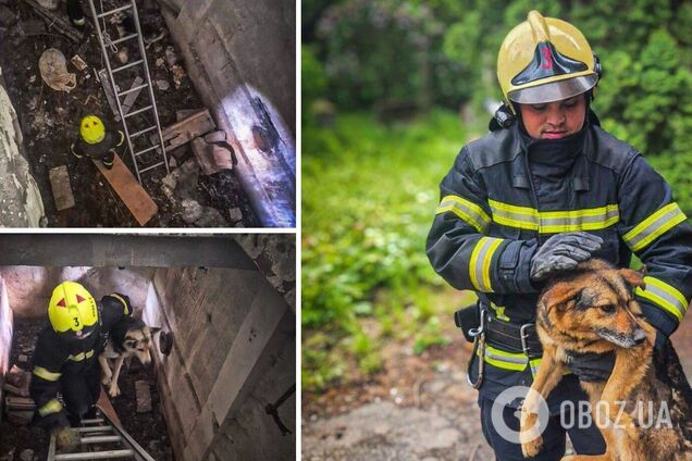 Кожне життя важливе: на Київщині співробітники ДСНС врятували двох собак із 12-метрової ями. Фото