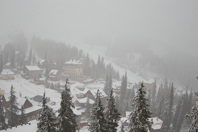Карпати у травні присипало снігом. Фото й відео