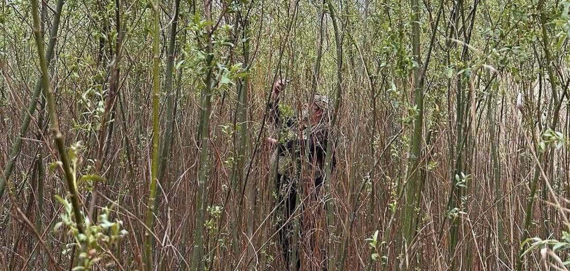 Уже виріс ліс: у мережі показали, який вигляд має колишня територія Каховського водосховища. Фото