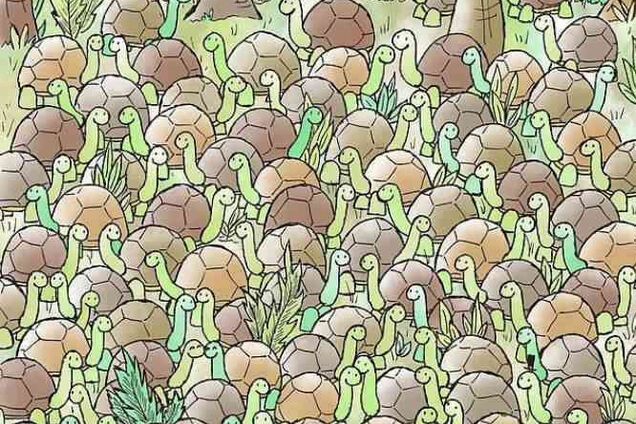 Знайдіть на малюнку змію: хитра головоломка