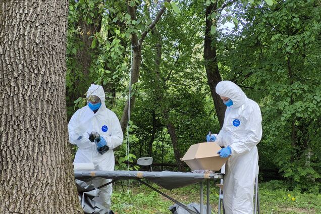 'Прорив у відносинах': у Польщі підсумували ексгумацію жертв Волинської трагедії