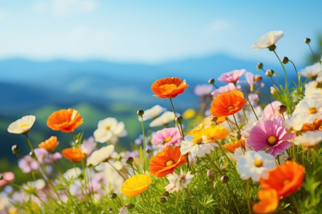 Яке свято відзначають 25 травня в Україні: цікаві факти і події