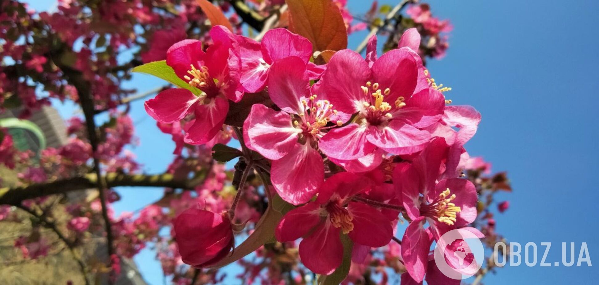 Погода на выходные удивит: Гидрометцентр озвучил прогноз и рассказал, когда можно будет открыть купальный сезон