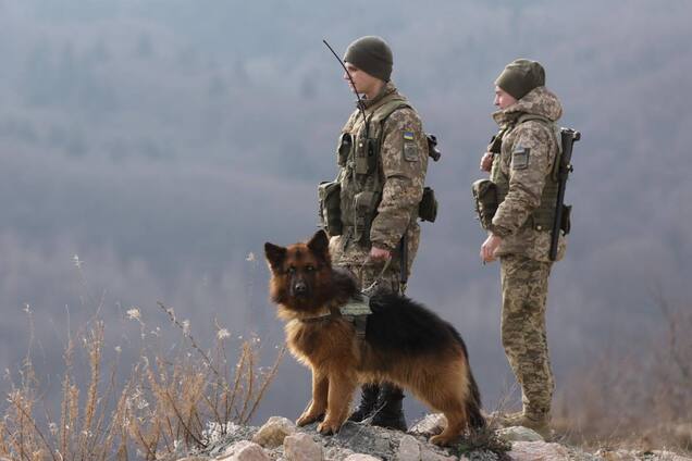 У ДПСУ назвали кількість осіб, які намагалися перетнути нелегально перетнути кордон України за період воєнного стану