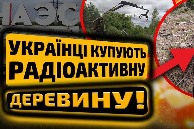 Детские колыбели из радиоактивной древесины: чем опасна 'черная' вырубка леса в зоне ЧАЭС. Видео