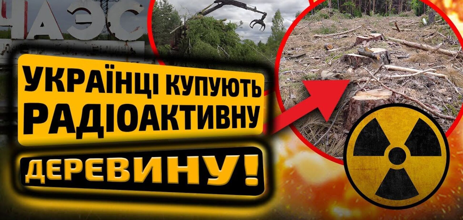 Детские колыбели из радиоактивной древесины: чем опасна 'черная' вырубка леса в зоне ЧАЭС. Видео