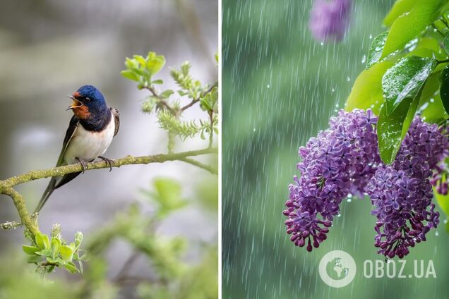 Частину України накриє негода: у яких областях йтимуть дощі у четвер, 22 травня