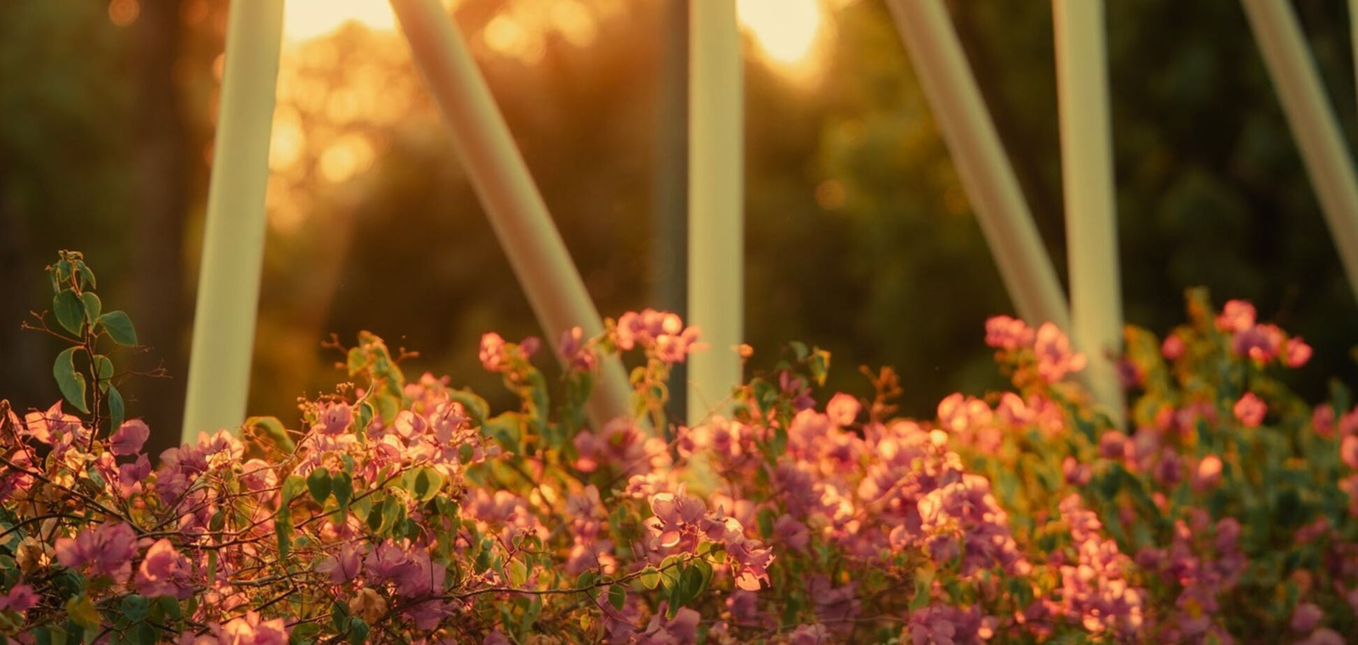 Яке свято відзначають 26 травня: все про цей день