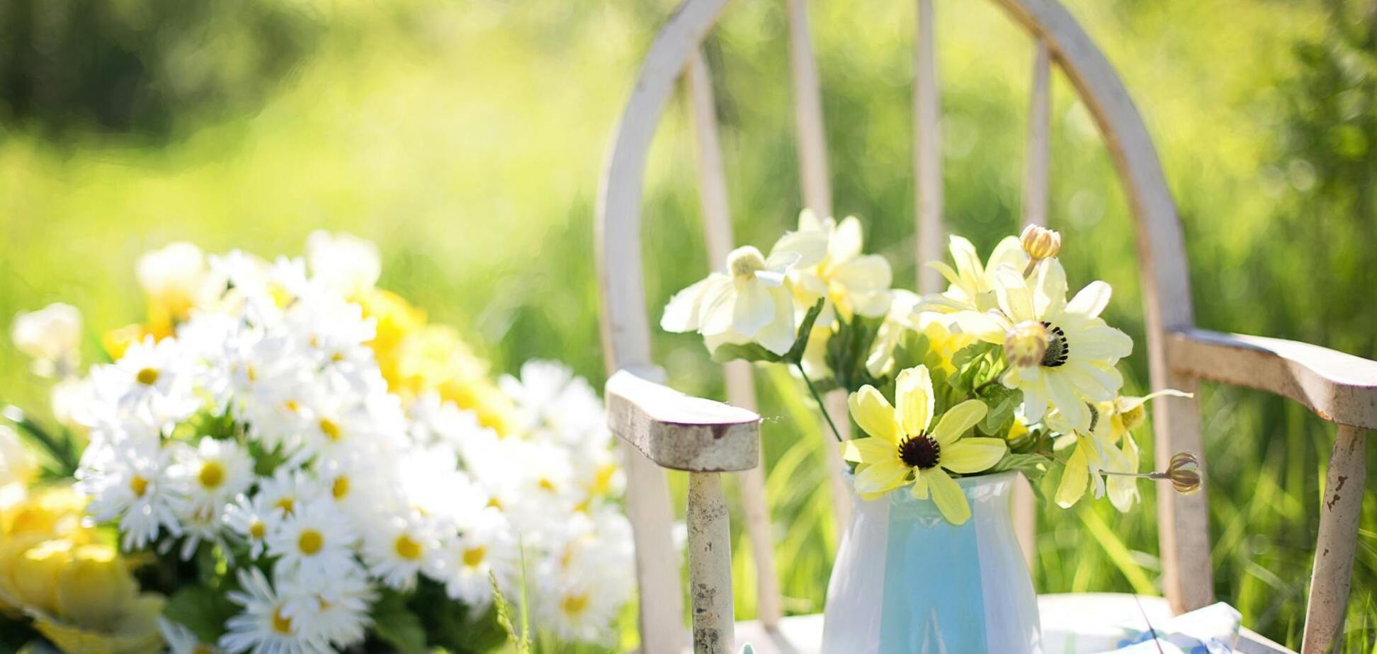 Какие цветы считают счастливыми: что посадить в собственном саду