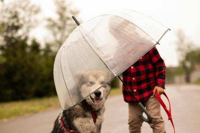 Погода в Украине на выходные - прогноз погоды на 24 и 25 мая