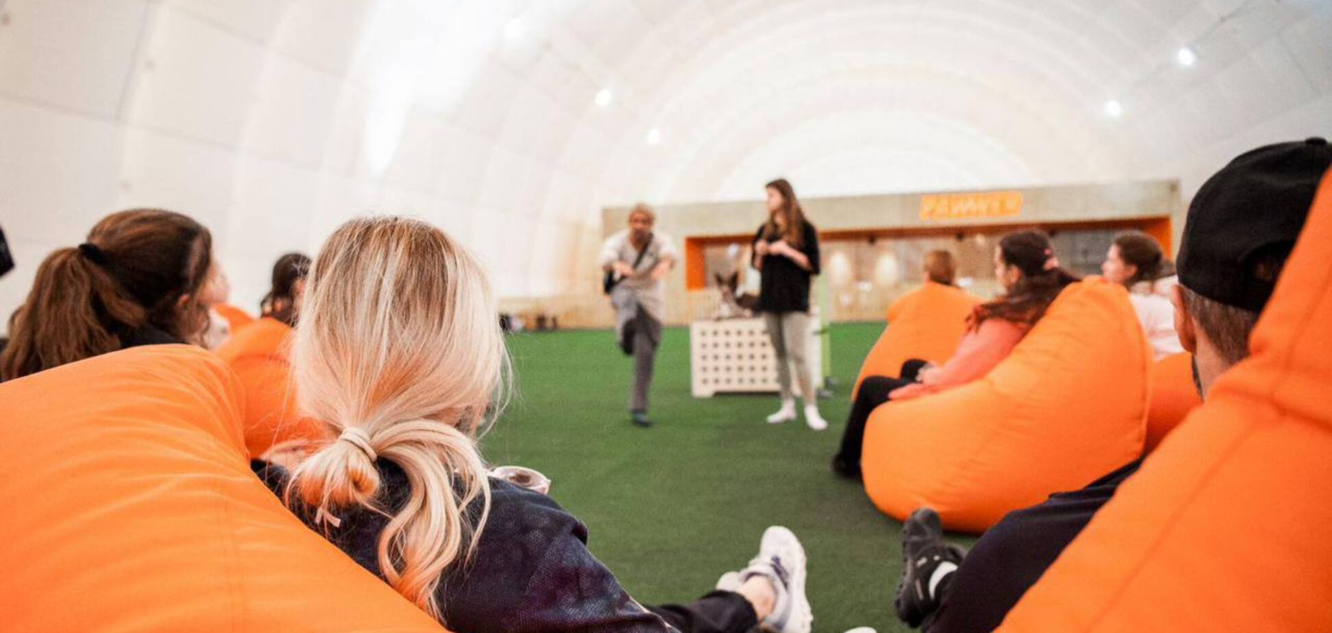 Занятия по аджилити для собак в Киеве: какие есть активности на спортивной арене Pawwer