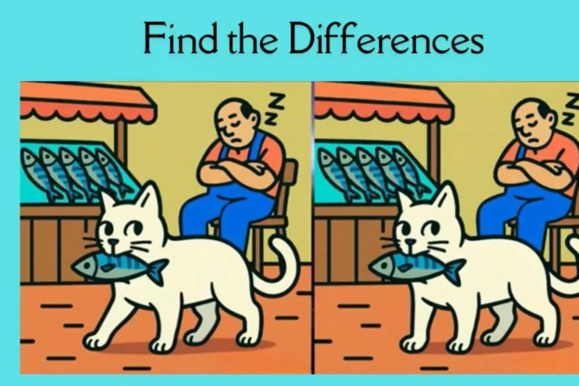 Знайдіть усі відмінності: головоломка для найуважніших
