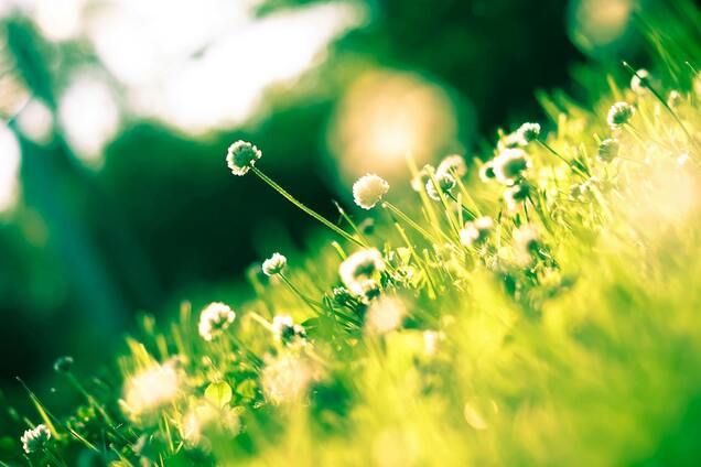 Украину не отпускают грозы, град и шквалы: синоптики дали неутешительный прогноз на воскресенье, 25 мая