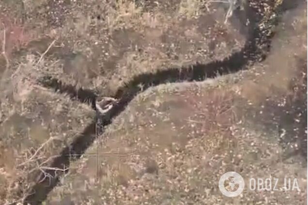 Палка, лопата и шапка: в ВСУ показали, чем оккупанты пытаются сбивать украинские БПЛА. Видео