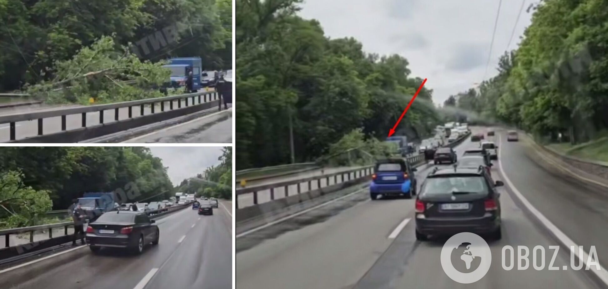 В Киеве на улице Телиги на дорогу упало дерево: образовалась пробка. Подробности и видео