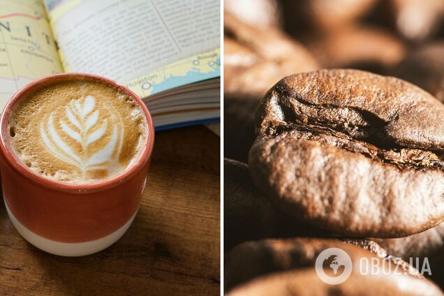 Чем отличается арабика от робусты и какой кофе лучше: объяснение