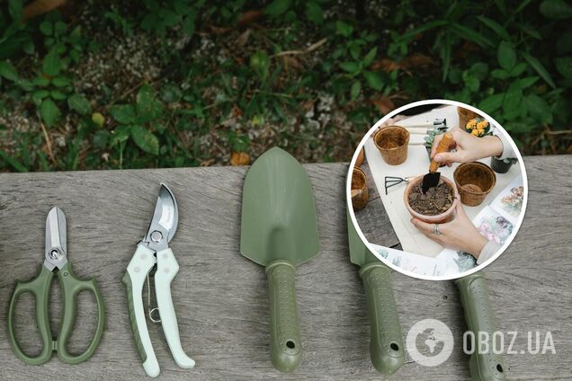 Что надо посадить до июня: лунный календарь на последние дни мая