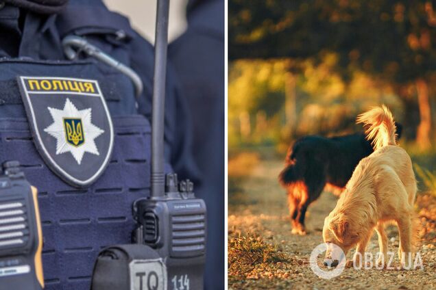 Полиция Ивано-Франковской области ищет волонтера, в доме которых нашли мертвых собак