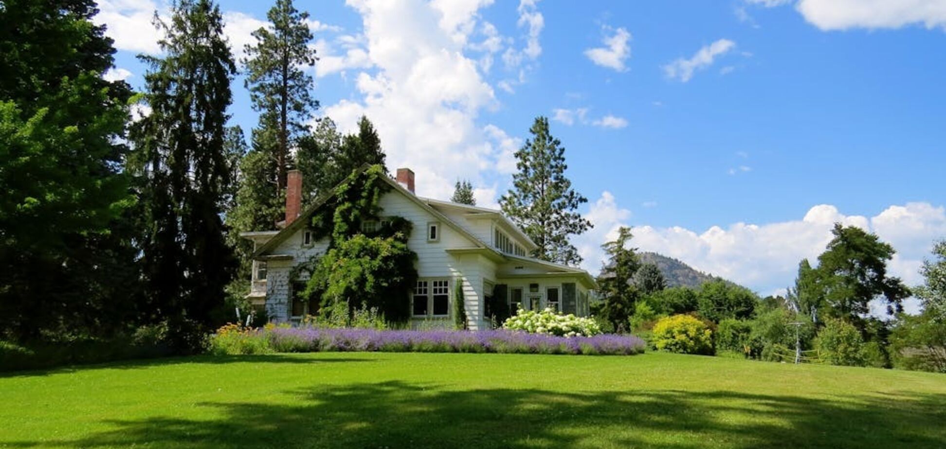 Як змусити рослини у саду рости швидше: перевірений спосіб