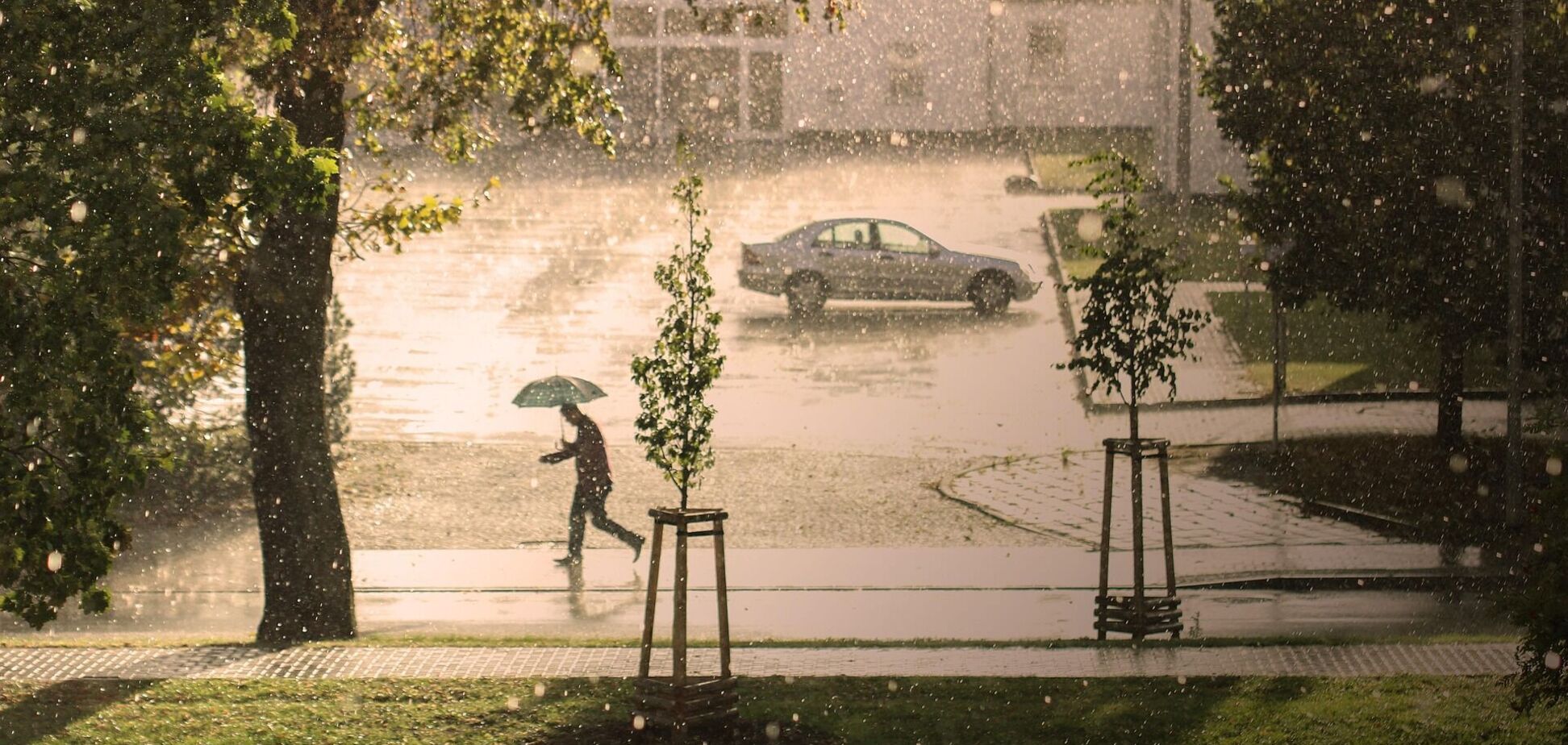 Дожди не отступают: подробный прогноз погоды по Киевской области на 28 мая