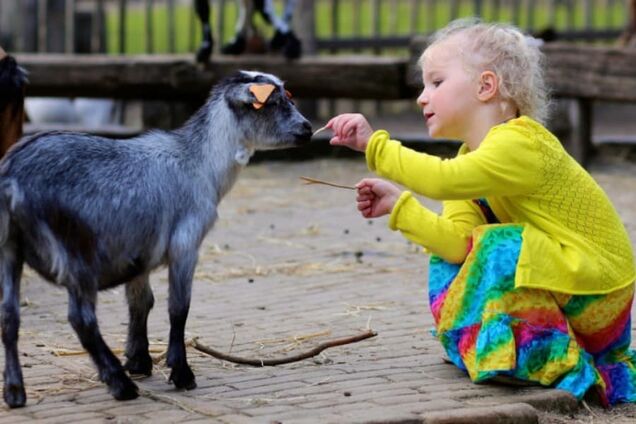 Зоопарки возле Киева, Одессы