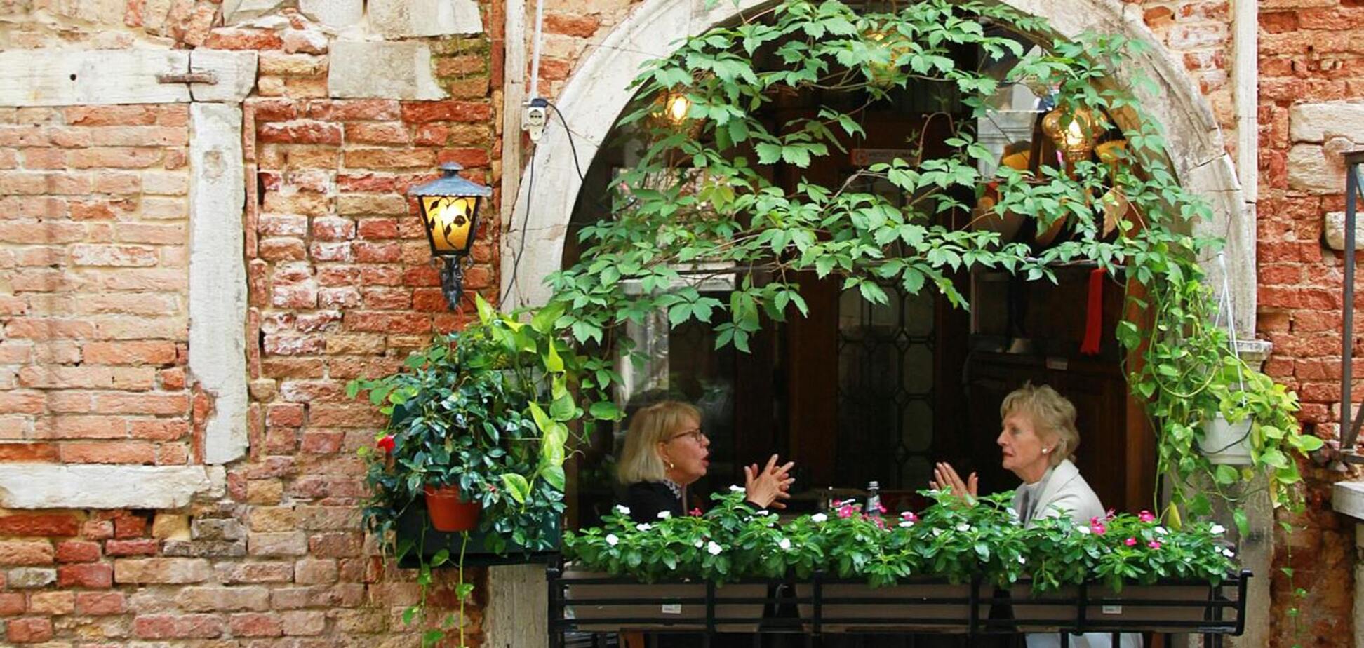 Не боятся жары и холода: какие растения посадить на балконе