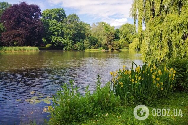 Погода устроит два 'выходных' от дождей: в Гидрометцентре назвали даты и рассказали, есть ли угроза шквалов и града